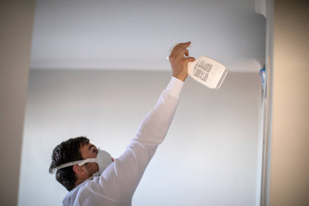 Best Same-Day Mold Removal  in Radisson, NY